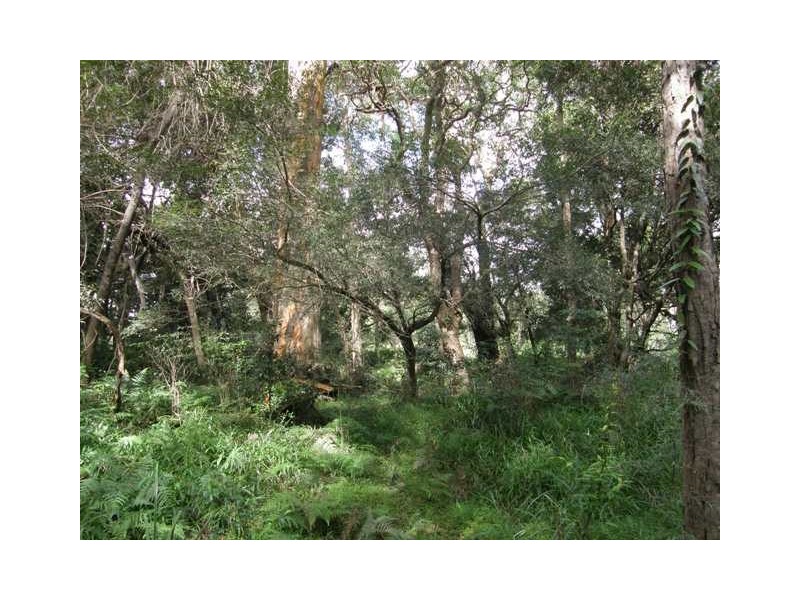 Lot 2 Kungala Road, Kungala NSW 2460
