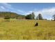 39 Cattle Creek Road, Ramornie NSW 2460
