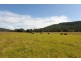 39 Cattle Creek Road, Ramornie NSW 2460