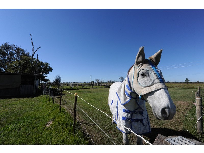 690 Lawrence Road, Southgate NSW 2460