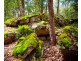 4970 Pringles Way, Lawrence NSW 2460