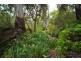 4970 Pringles Way, Lawrence NSW 2460