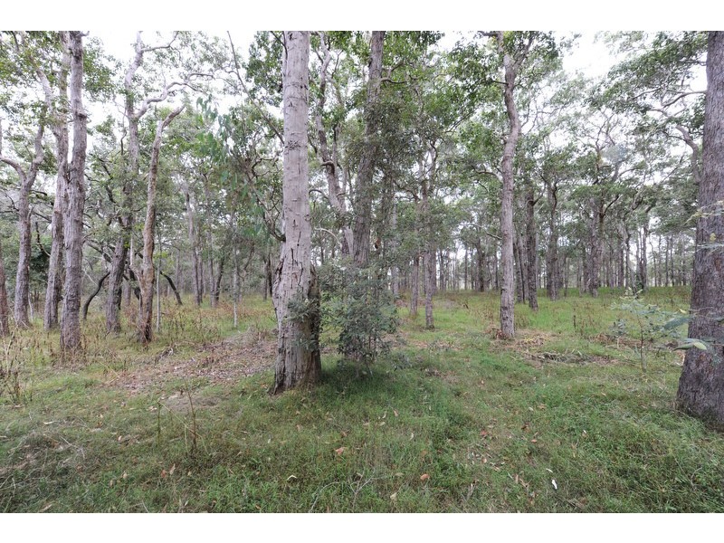 17 Casuarina Close, Coutts Crossing NSW 2460