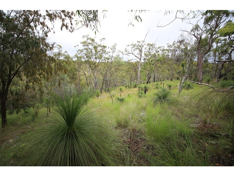 86 Mundine Road, Upper Fine Flower NSW 2460