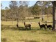 57 Ellem Lane, The Whiteman NSW 2460