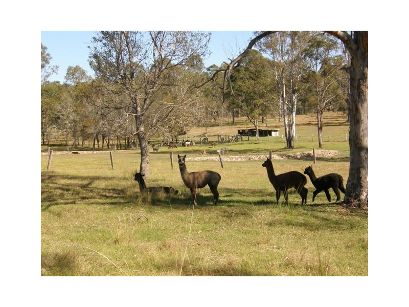 57 Ellem Lane, The Whiteman NSW 2460