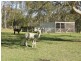 57 Ellem Lane, The Whiteman NSW 2460