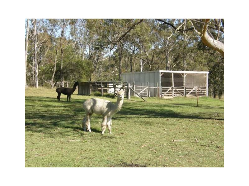 57 Ellem Lane, The Whiteman NSW 2460