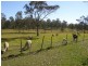 57 Ellem Lane, The Whiteman NSW 2460
