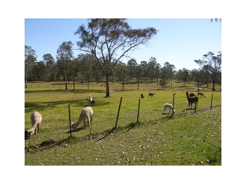 57 Ellem Lane, The Whiteman NSW 2460