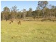 57 Ellem Lane, The Whiteman NSW 2460