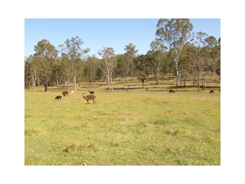 57 Ellem Lane, The Whiteman NSW 2460