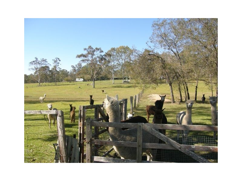 57 Ellem Lane, The Whiteman NSW 2460
