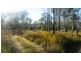 14 Brynvale Lane, Coutts Crossing NSW 2460