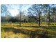 14 Brynvale Lane, Coutts Crossing NSW 2460