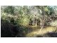 14 Brynvale Lane, Coutts Crossing NSW 2460