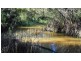 14 Brynvale Lane, Coutts Crossing NSW 2460