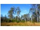 14 Brynvale Lane, Coutts Crossing NSW 2460