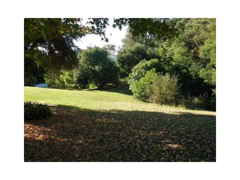 212 Grays Road, Halfway Creek NSW 2460