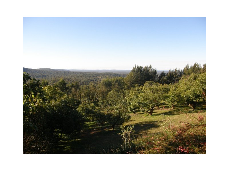 212 Grays Road, Halfway Creek NSW 2460