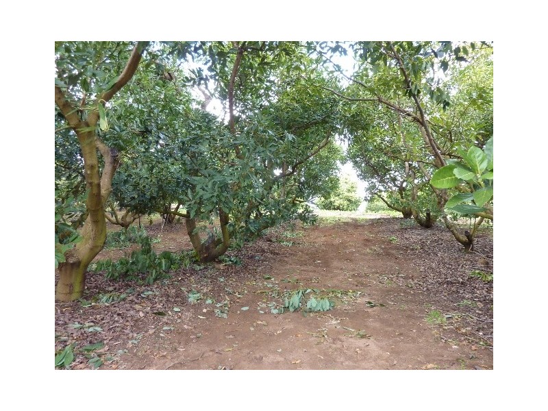 212 Grays Road, Halfway Creek NSW 2460