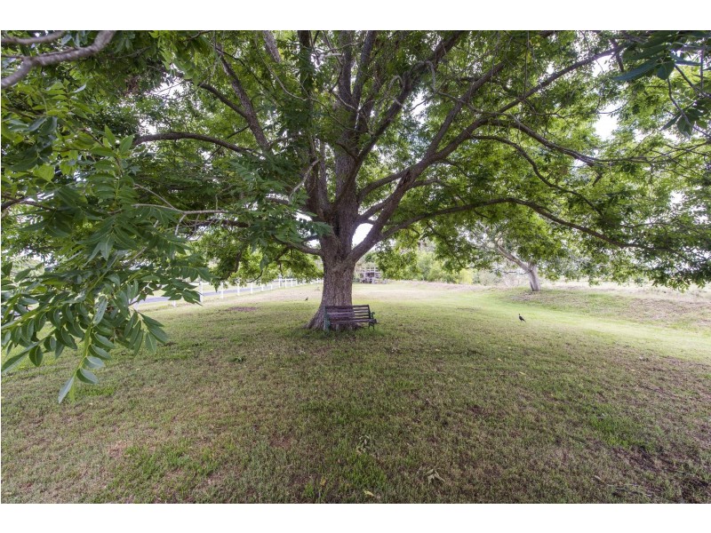 698 Great Marlow Road, Southgate NSW 2460