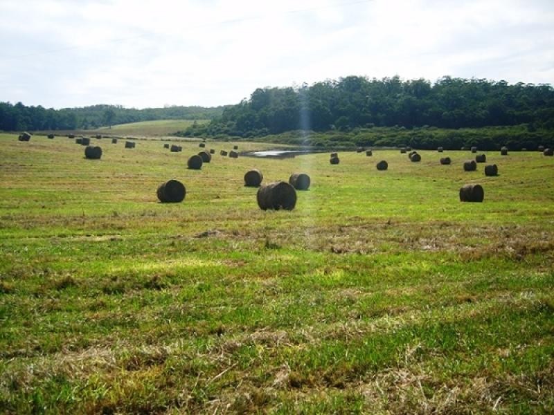 Lot 131 Lowanna Road, Lowanna NSW 2450