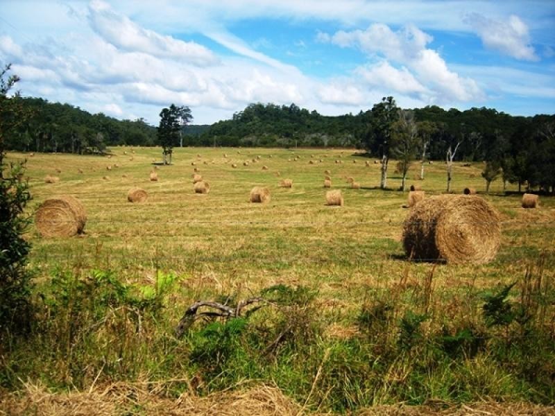 Lot 131 Lowanna Road, Lowanna NSW 2450