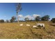 1345 Hanging Rock Road, Cangai NSW 2460