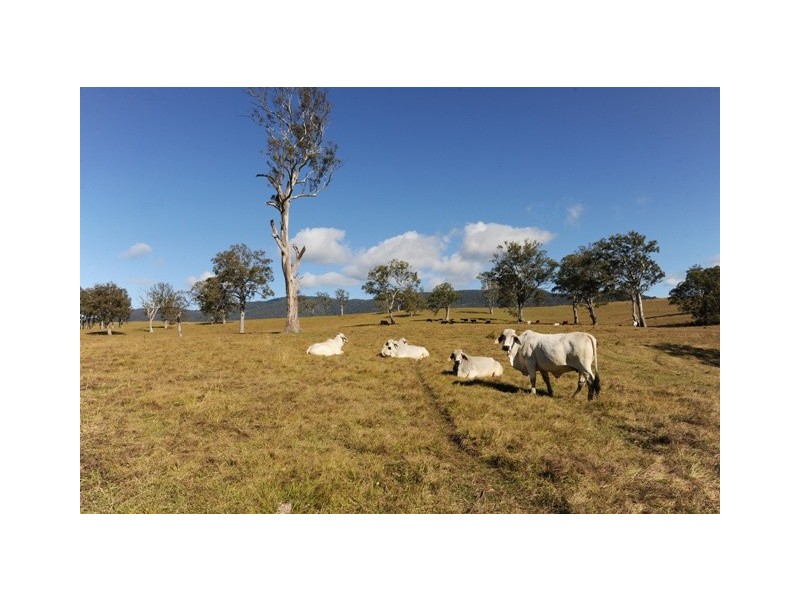 1345 Hanging Rock Road, Cangai NSW 2460