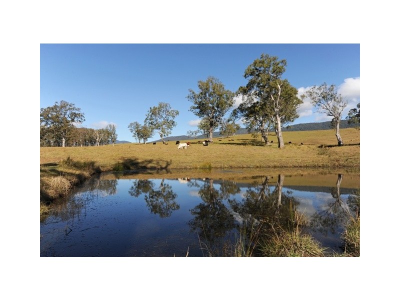 1345 Hanging Rock Road, Cangai NSW 2460