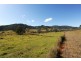 1345 Hanging Rock Road, Cangai NSW 2460