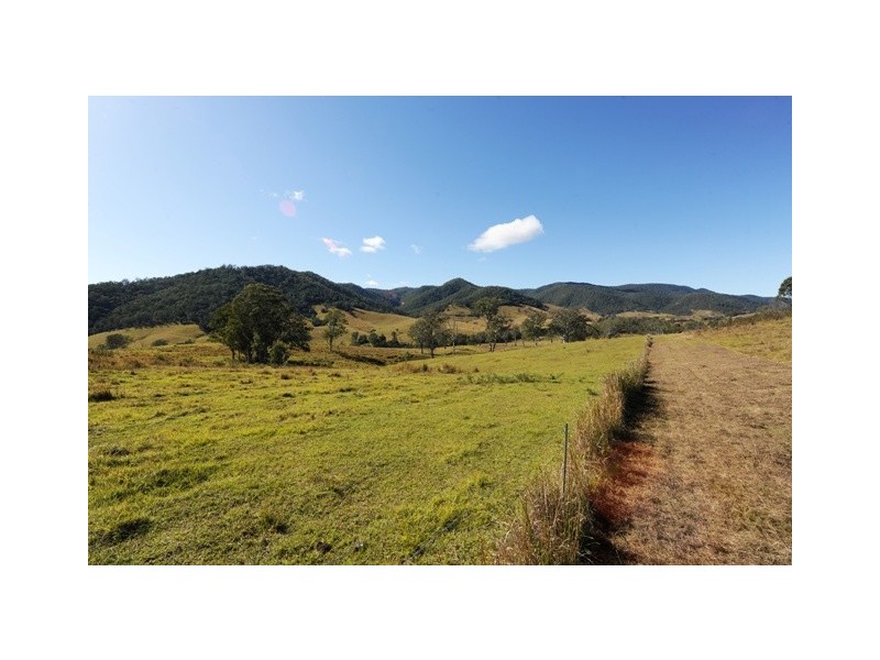 1345 Hanging Rock Road, Cangai NSW 2460