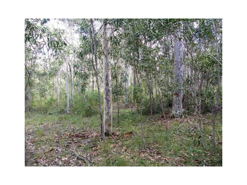 501 Coaldale Road, Fortis Creek NSW 2460