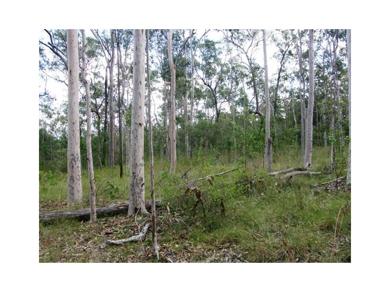 501 Coaldale Road, Fortis Creek NSW 2460