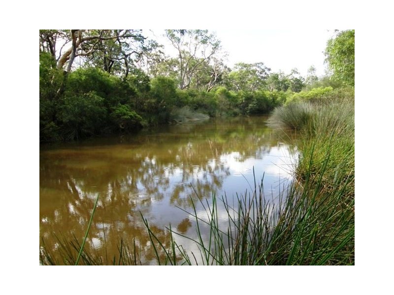 501 Coaldale Road, Fortis Creek NSW 2460