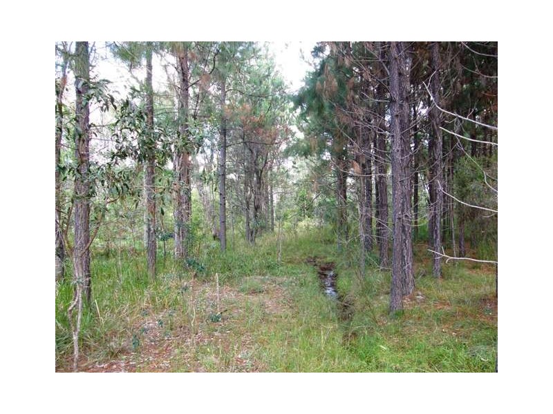 501 Coaldale Road, Fortis Creek NSW 2460