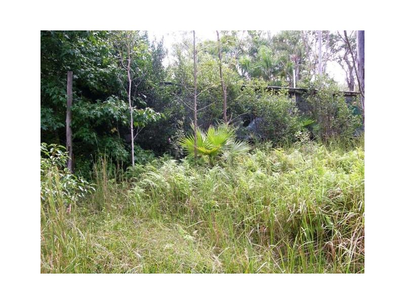 501 Coaldale Road, Fortis Creek NSW 2460