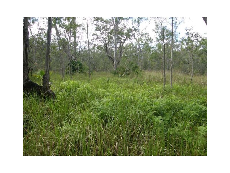 501 Coaldale Road, Fortis Creek NSW 2460