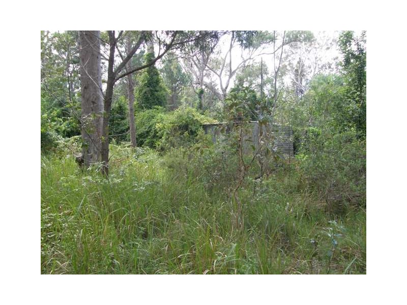 501 Coaldale Road, Fortis Creek NSW 2460