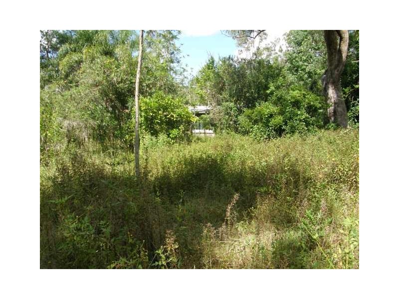 501 Coaldale Road, Fortis Creek NSW 2460