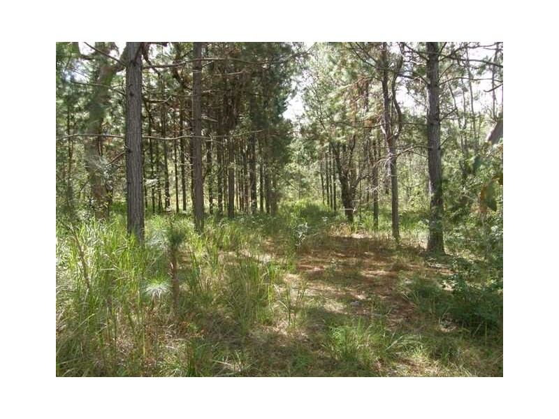 501 Coaldale Road, Fortis Creek NSW 2460