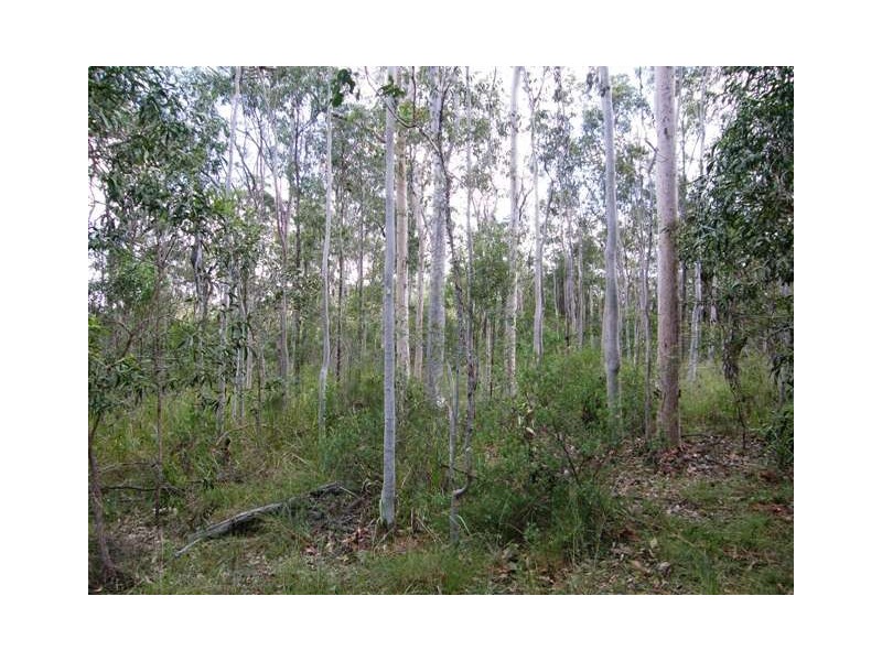 501 Coaldale Road, Fortis Creek NSW 2460