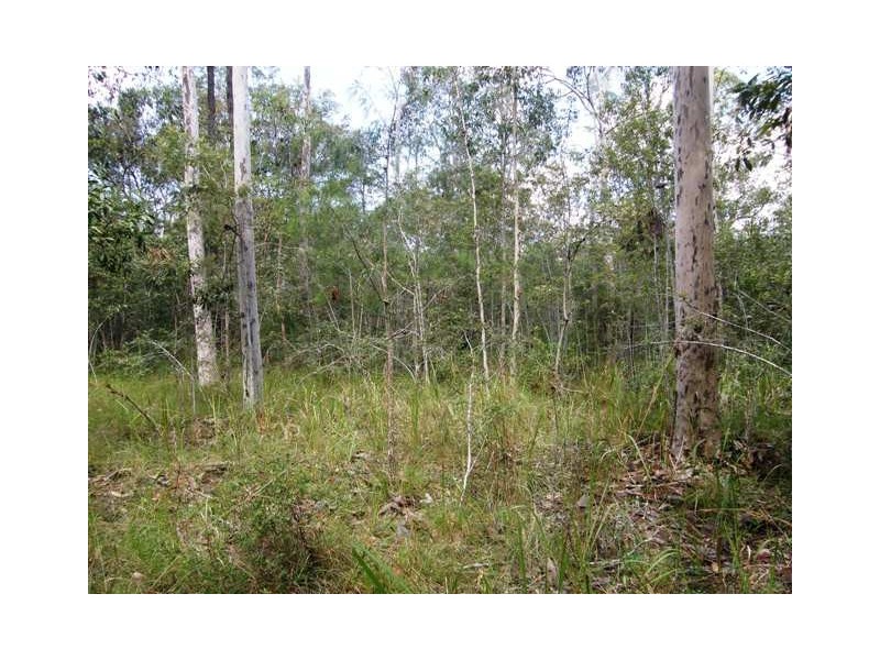 501 Coaldale Road, Fortis Creek NSW 2460