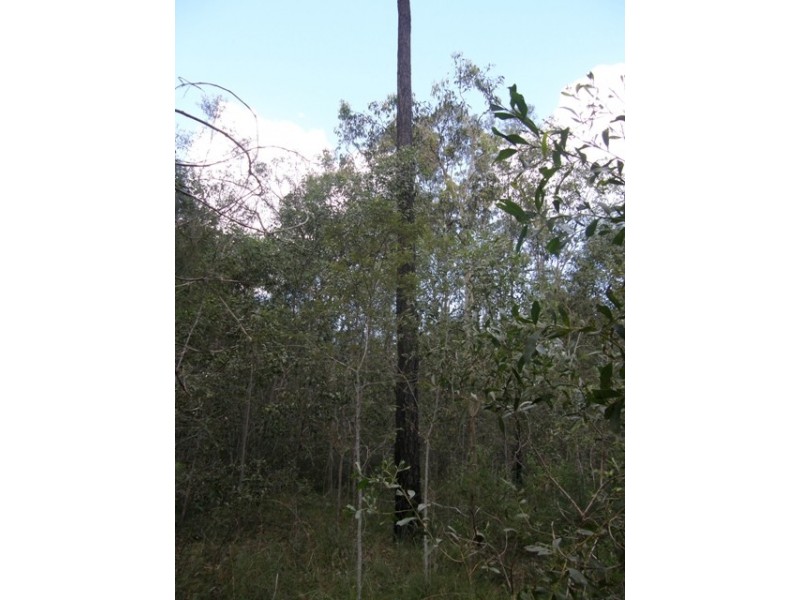 501 Coaldale Road, Fortis Creek NSW 2460