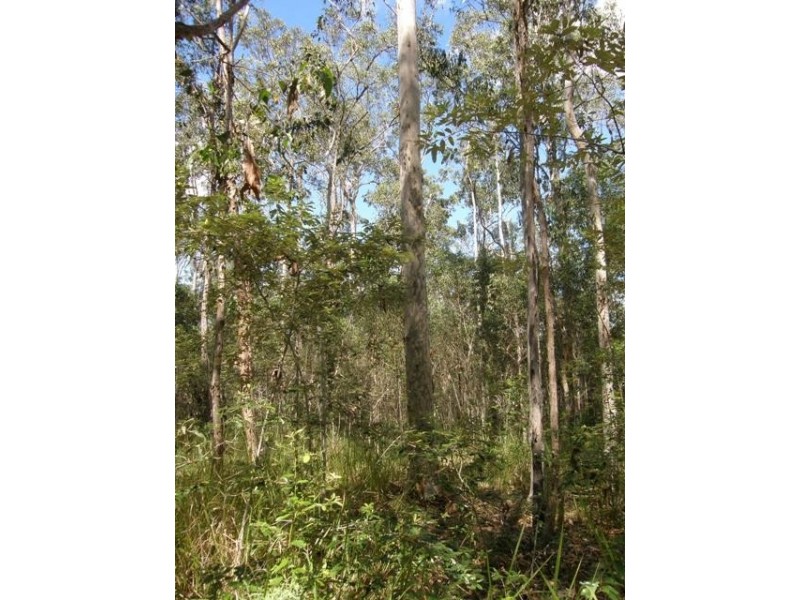 501 Coaldale Road, Fortis Creek NSW 2460