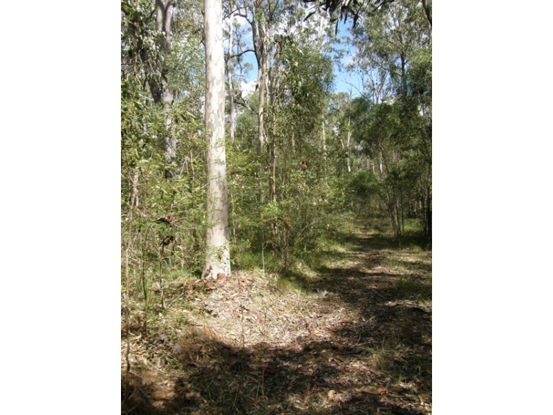 501 Coaldale Road, Fortis Creek NSW 2460