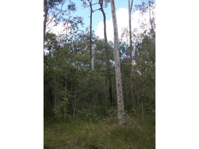 501 Coaldale Road, Fortis Creek NSW 2460