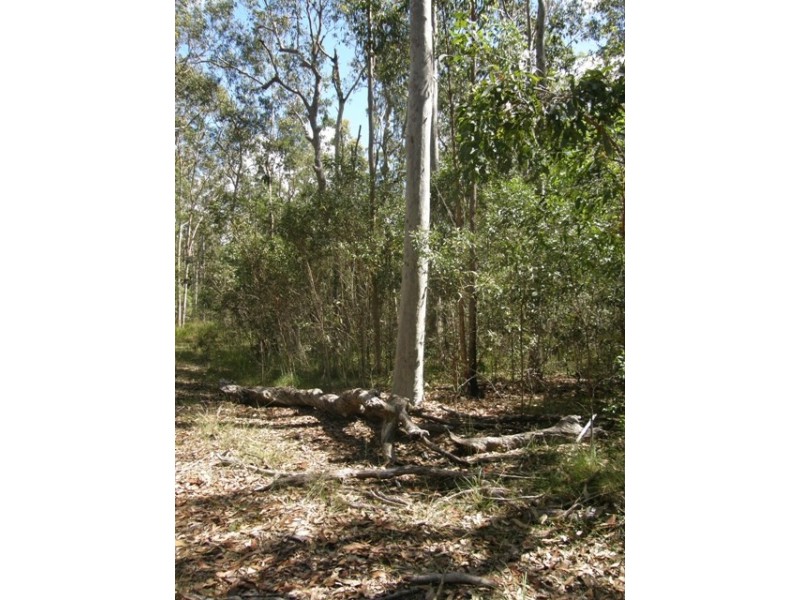 501 Coaldale Road, Fortis Creek NSW 2460