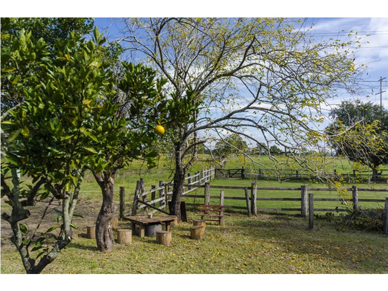 241 Lawrence Rd, Great Marlow NSW 2460